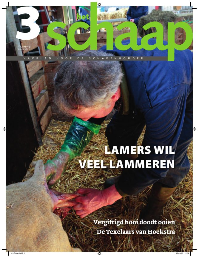 Het Schaap nr. 3 2013