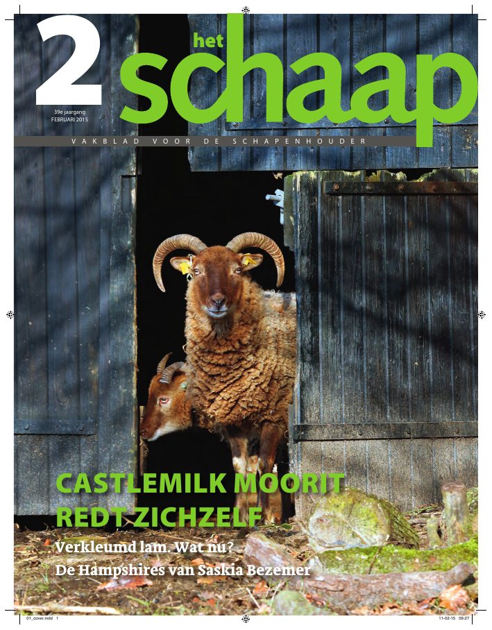 Het Schaap nr. 2 2015