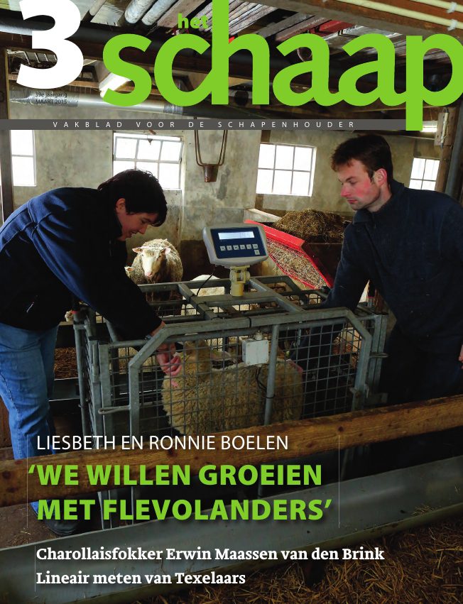 Het Schaap nr. 3 2015