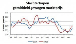 slachtschapen marktprijs 2016 2015