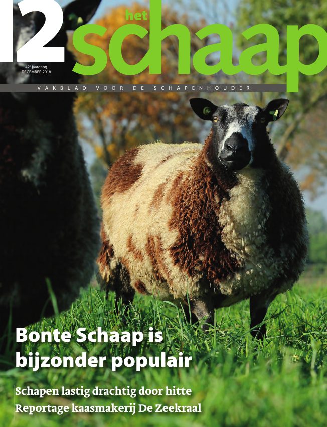 Het Schaap nr. 12 2018
