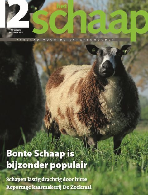 vakblad Het Schaap cover december 2018