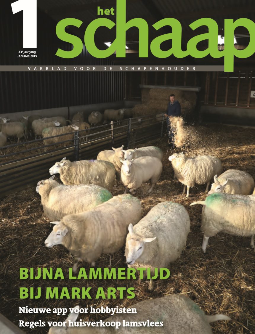 vakblad Het Schaap cover januari 2019