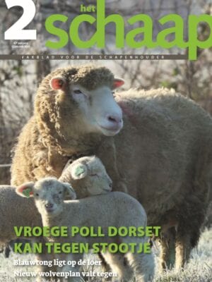 vakblad Het Schaap cover februari 2019