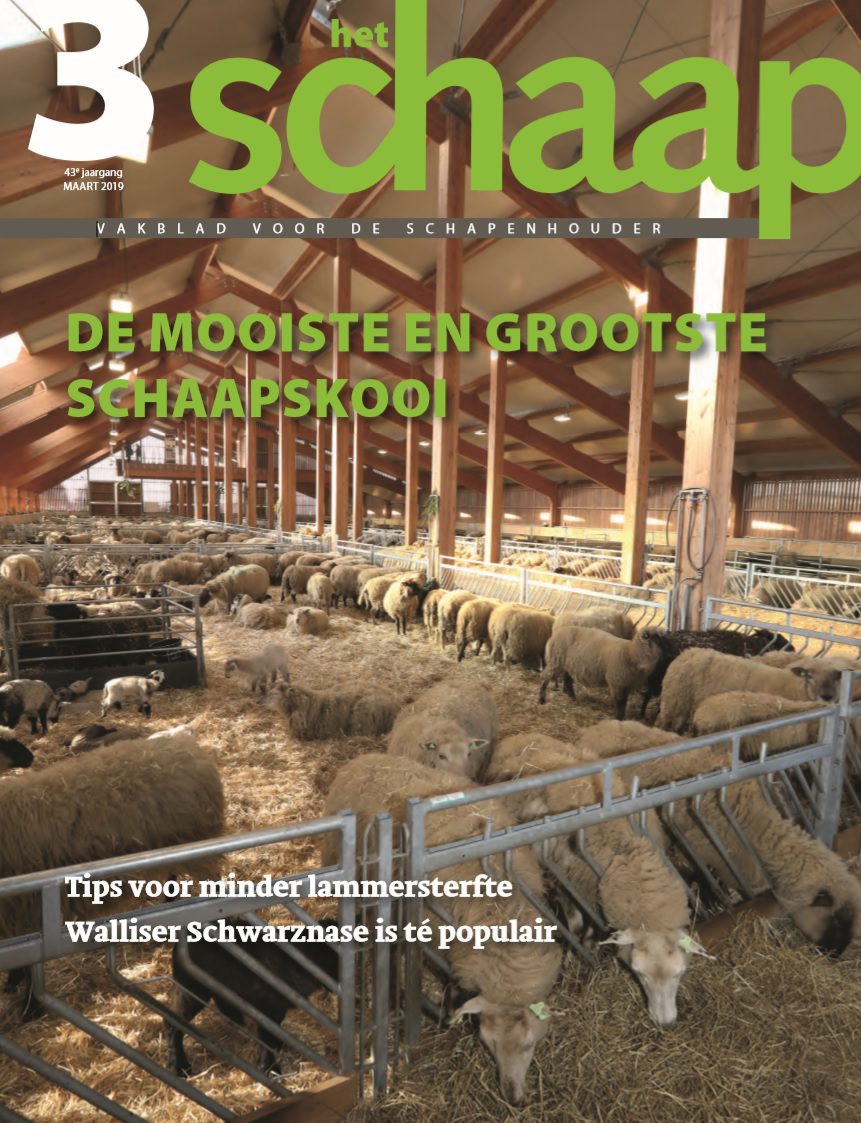 vakblad Het Schaap cover maart 2019