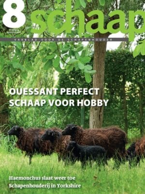 vakblad Het Schaap cover augustus 2019
