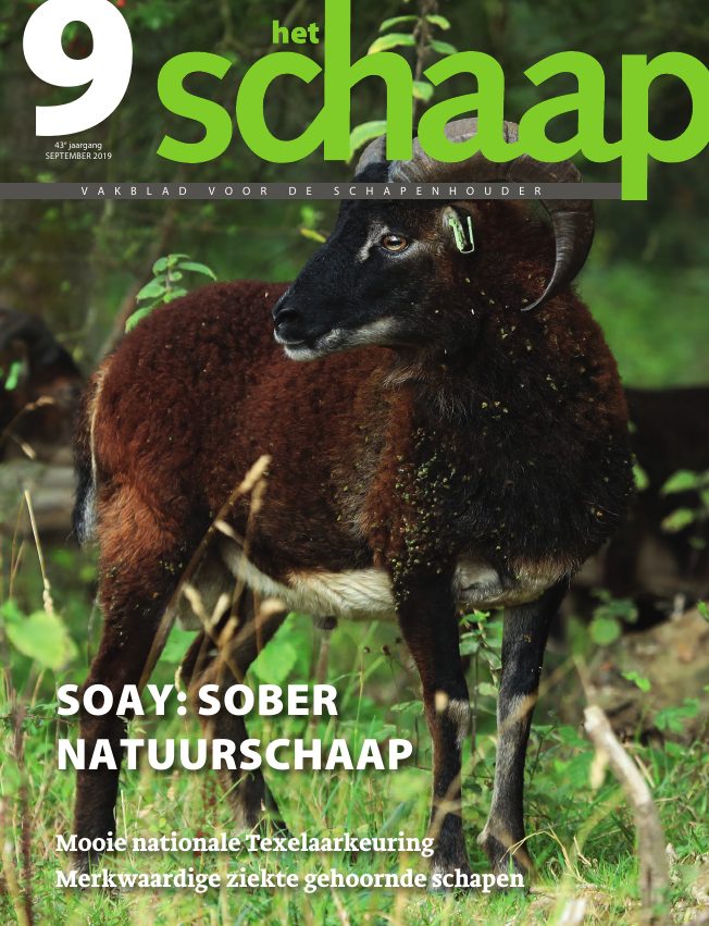 Het Schaap nr. 9 2019