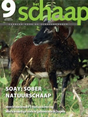 cover van vakblad Het Schaap van september 2019