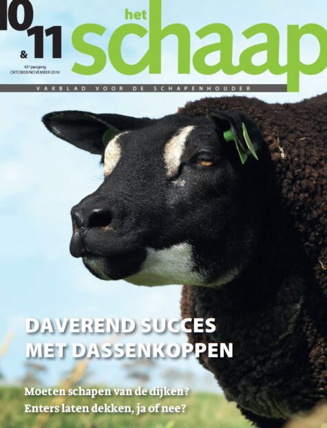 vakblad Het Schaap cover okober-november 2019