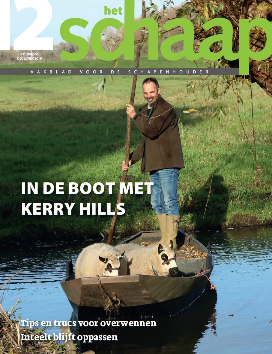 cover vakblad Het Schaap december 2019