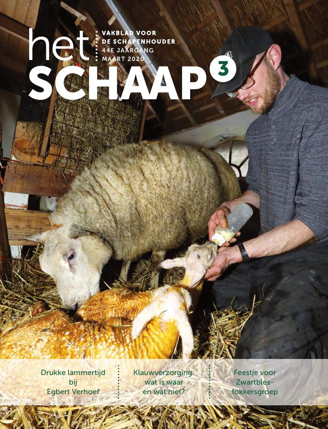Het Schaap nr. 3 2020