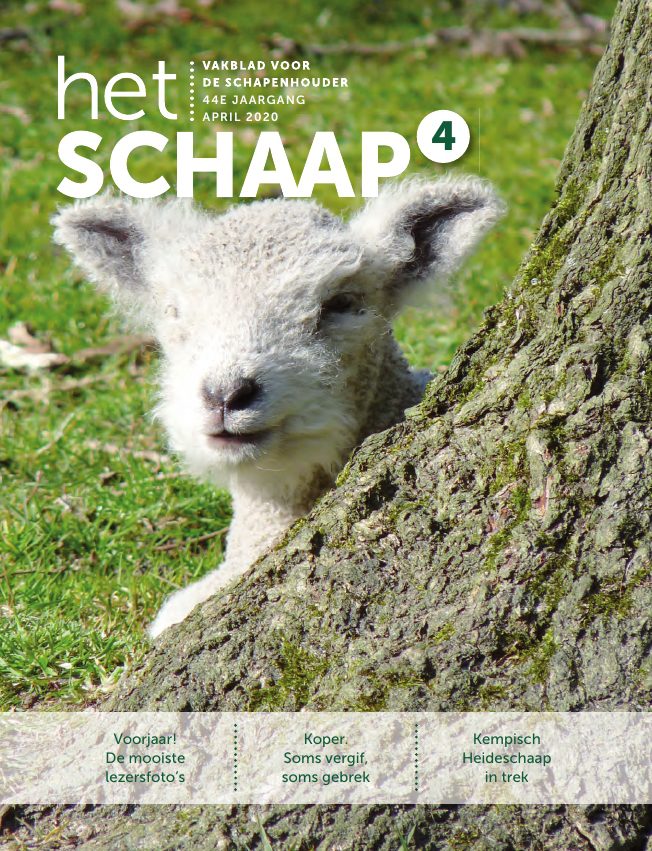 Het Schaap nr. 4 2020