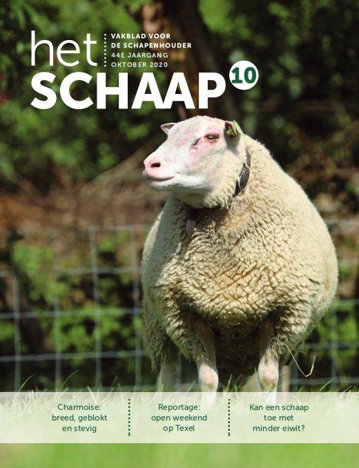 vakblad Het Schaap cover oktober 2020