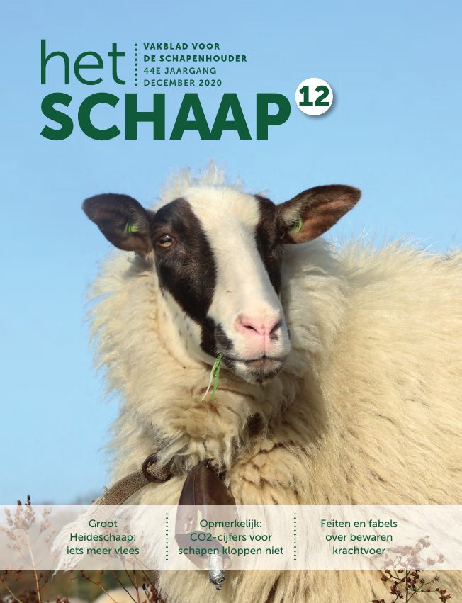 Het Schaap nr. 12 2020