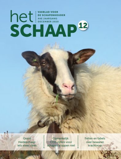 vakblad Het Schaap cover december 2020
