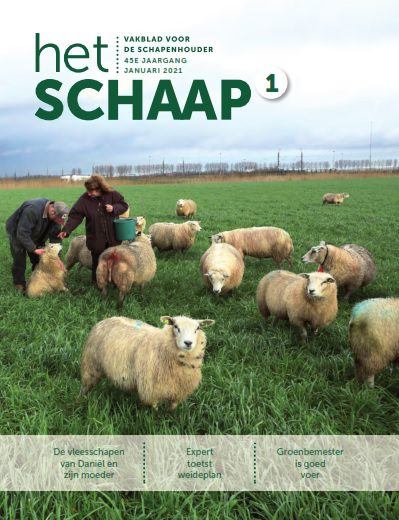 cover van januari 2021 van Het Schaap