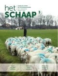 cover maarteditie 2021 vakblad Het Schaap