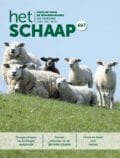 cover juni-juli 2021 vakblad Het Schaap