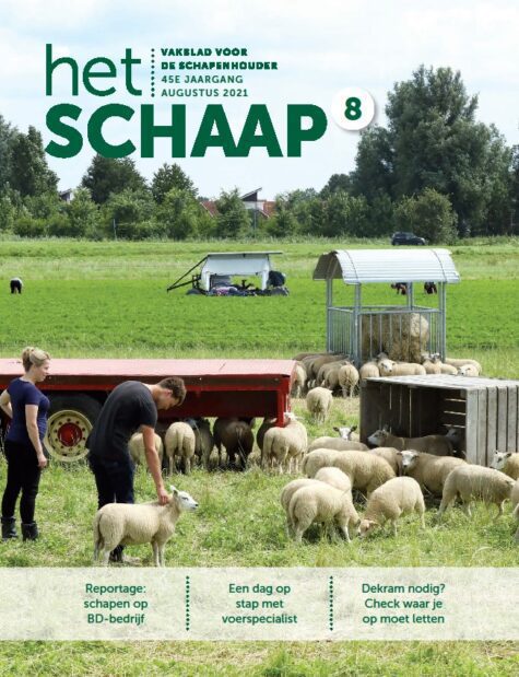 cover vakblad Het Schaap augustus 2021