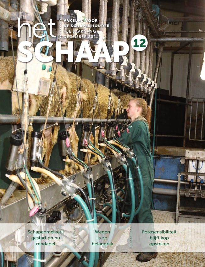 Het Schaap nr. 12 2021