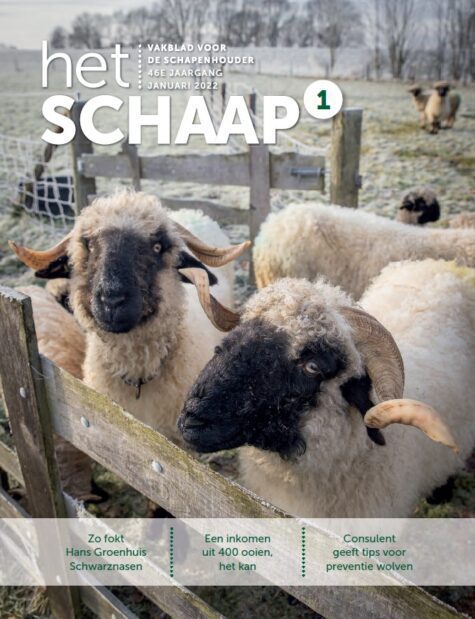 cover van januari 2022 van vakblad Het Schaap