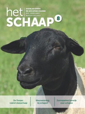 cover augustus 2022 vakblad Het Schaap