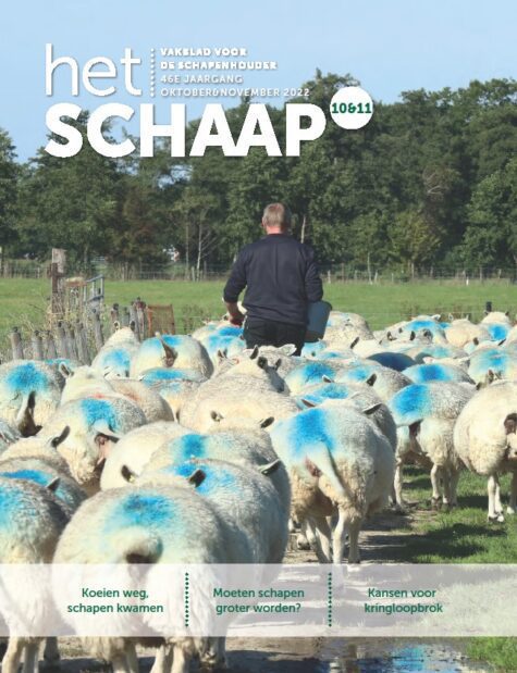cover van vakblad Het Schaap in oktober en november 2022