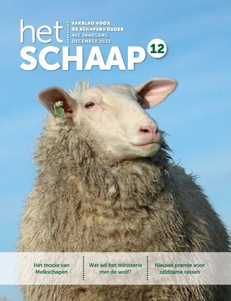 cover van december 2022 vakblad Het Schaap