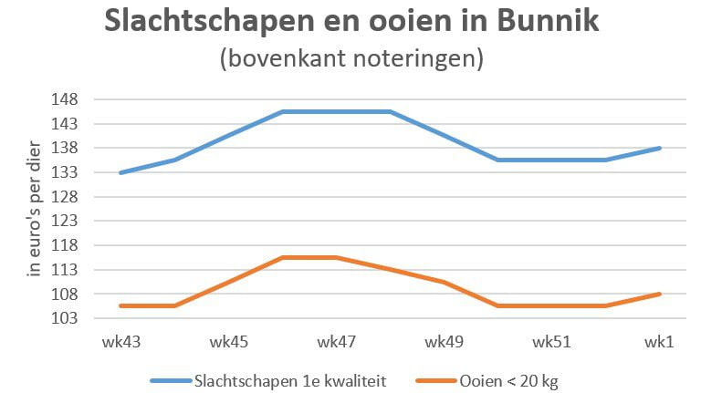 grafiek met marktprijzen van slachtschapen en ooien op veemarkt in Bunnik