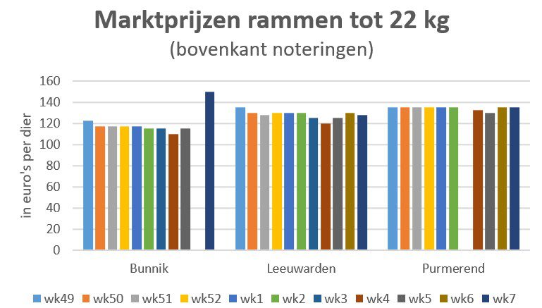 grafiek met marktprijzen van rammen tot 22 kg op veemarkten in Bunnik, Leeuwarden en Purmerend