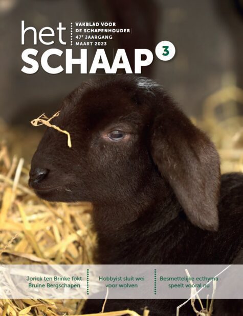 cover maart 2023 van vakblad Het Schaap