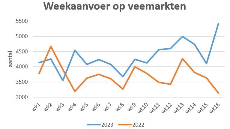 grafiek met aanvoer per week van schapen en lammeren op veemarkten in 2023 en 2022