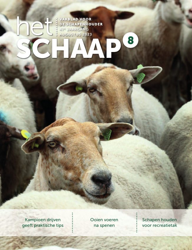 Het Schaap nr. 8 2023