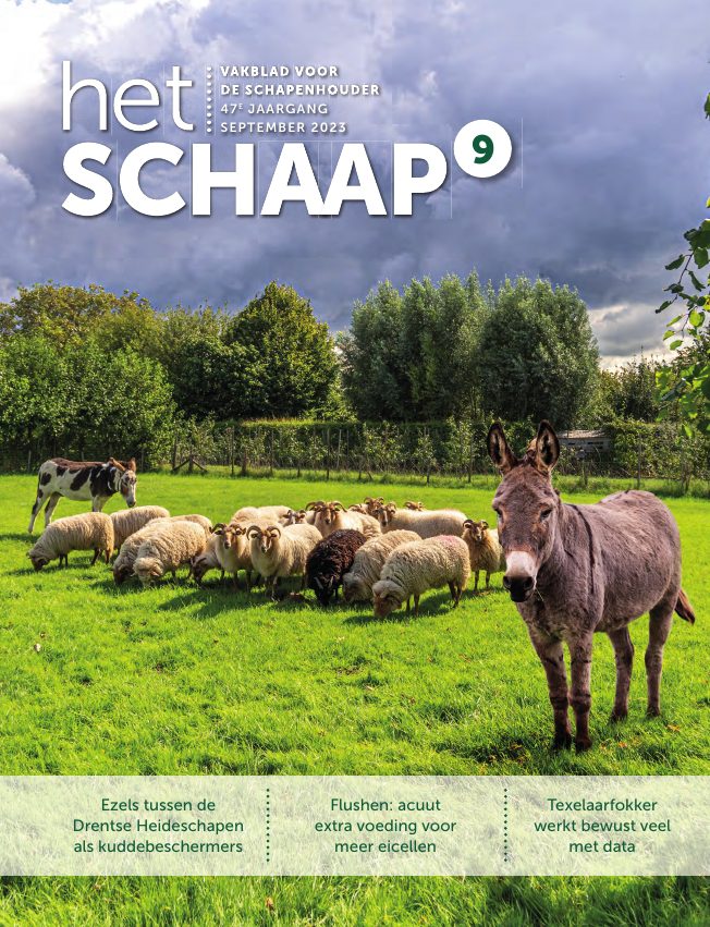 Het Schaap nr. 9 2023