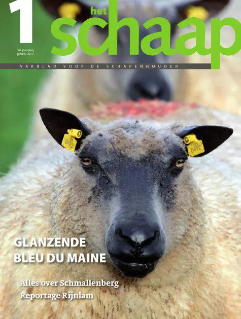 Het Schaap nr. 1 2012