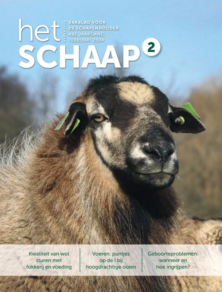 blad Het Schaap 2024