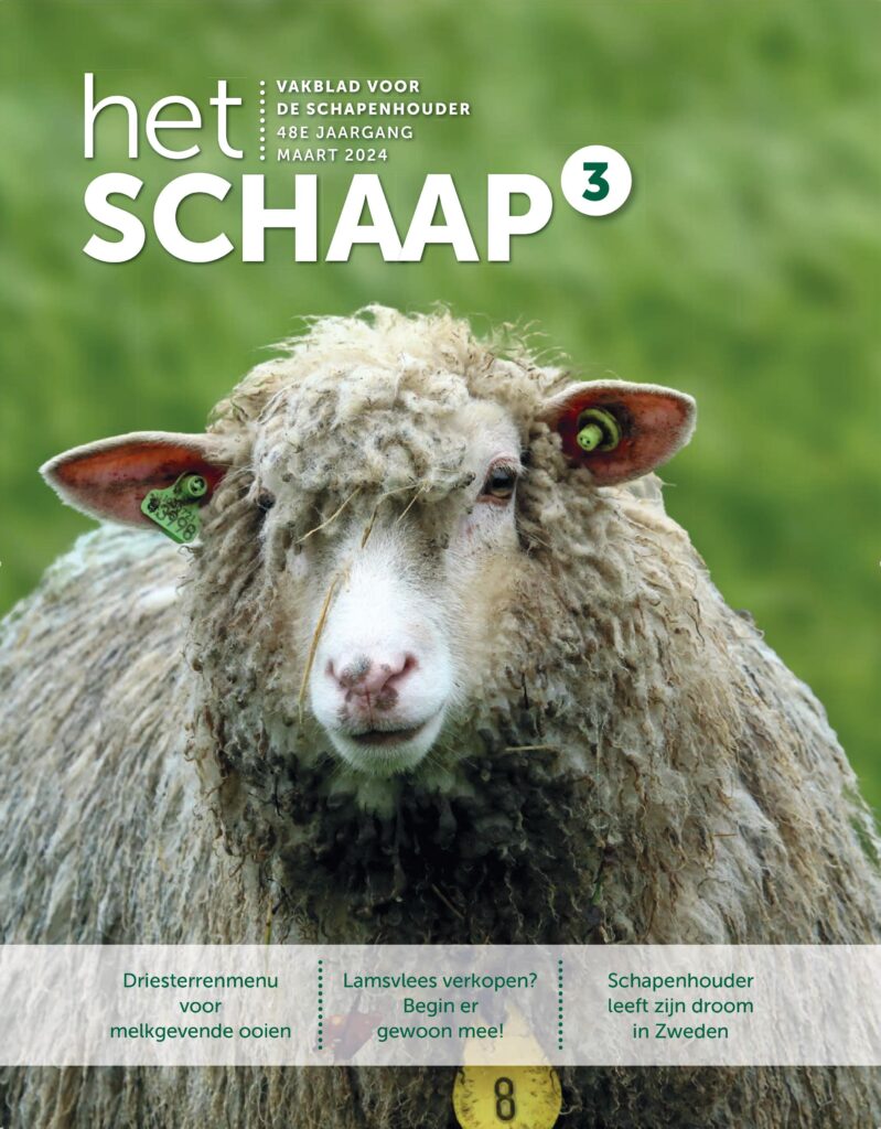 Het Schaap maart 2024