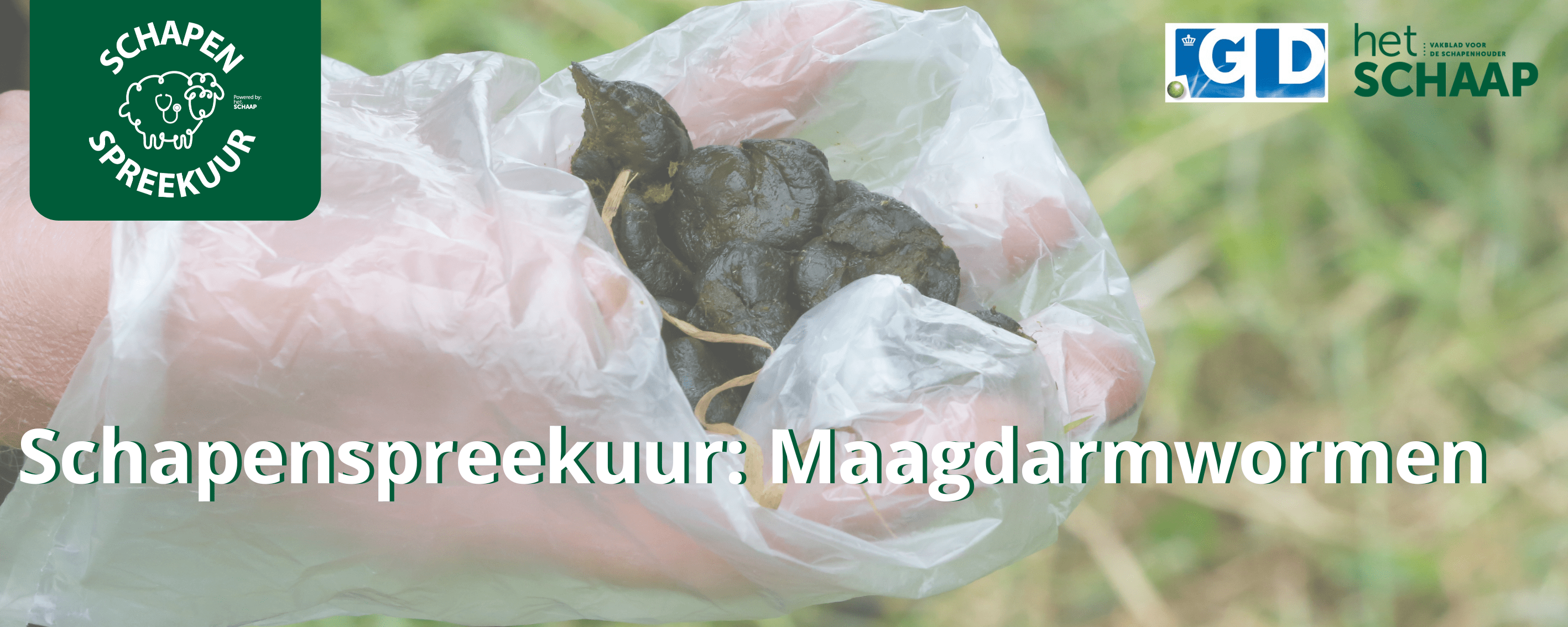 schapenspreekuur blauwtong
