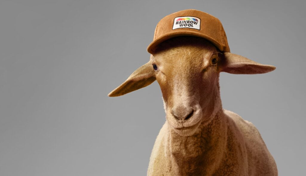 wol van homoseksuele rammen