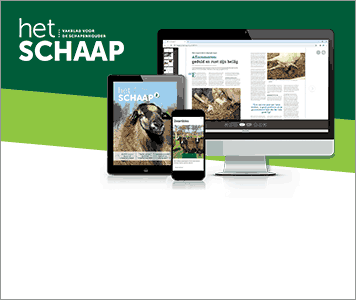 Maak kennis met Het Schaap