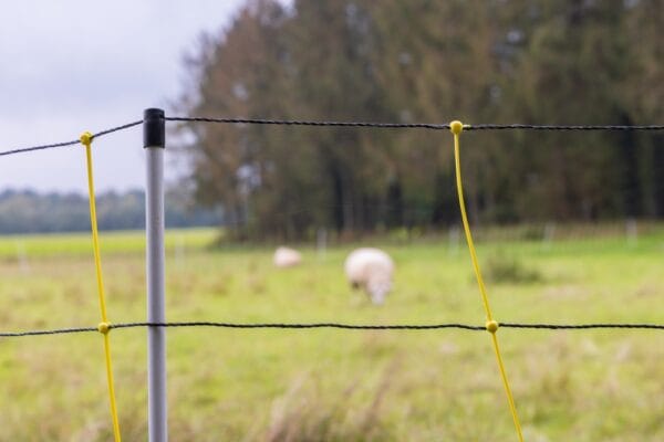 “Steeds meer mensen buiten de sector beginnen in te zien dat het allemaal niet zo makkelijk is om je schapen te beschermen.”