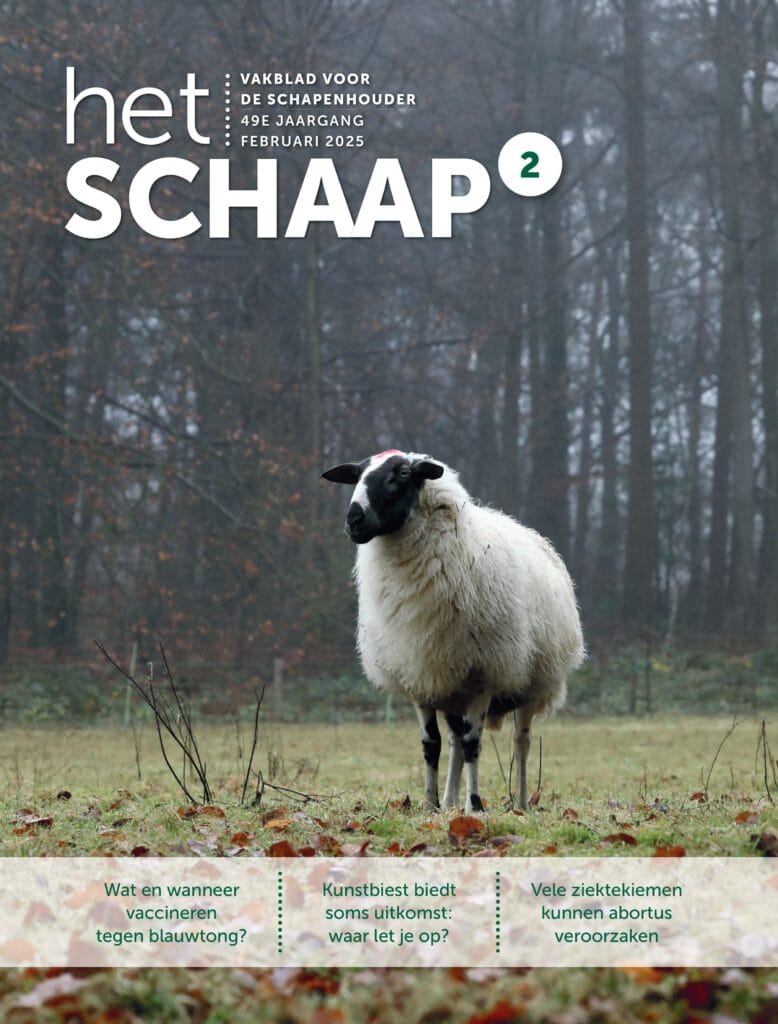 Het Schaap nr. 2 2025