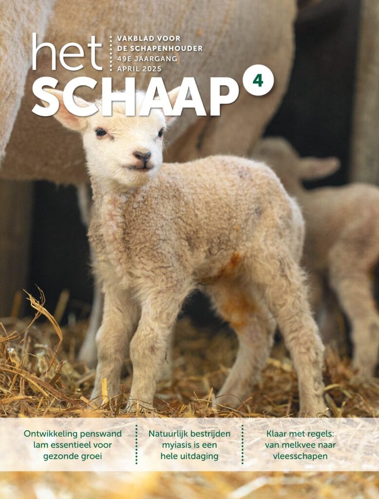 Het Schaap nr. 4 2025