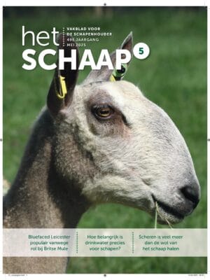 Het Schaap nr. 5 2025