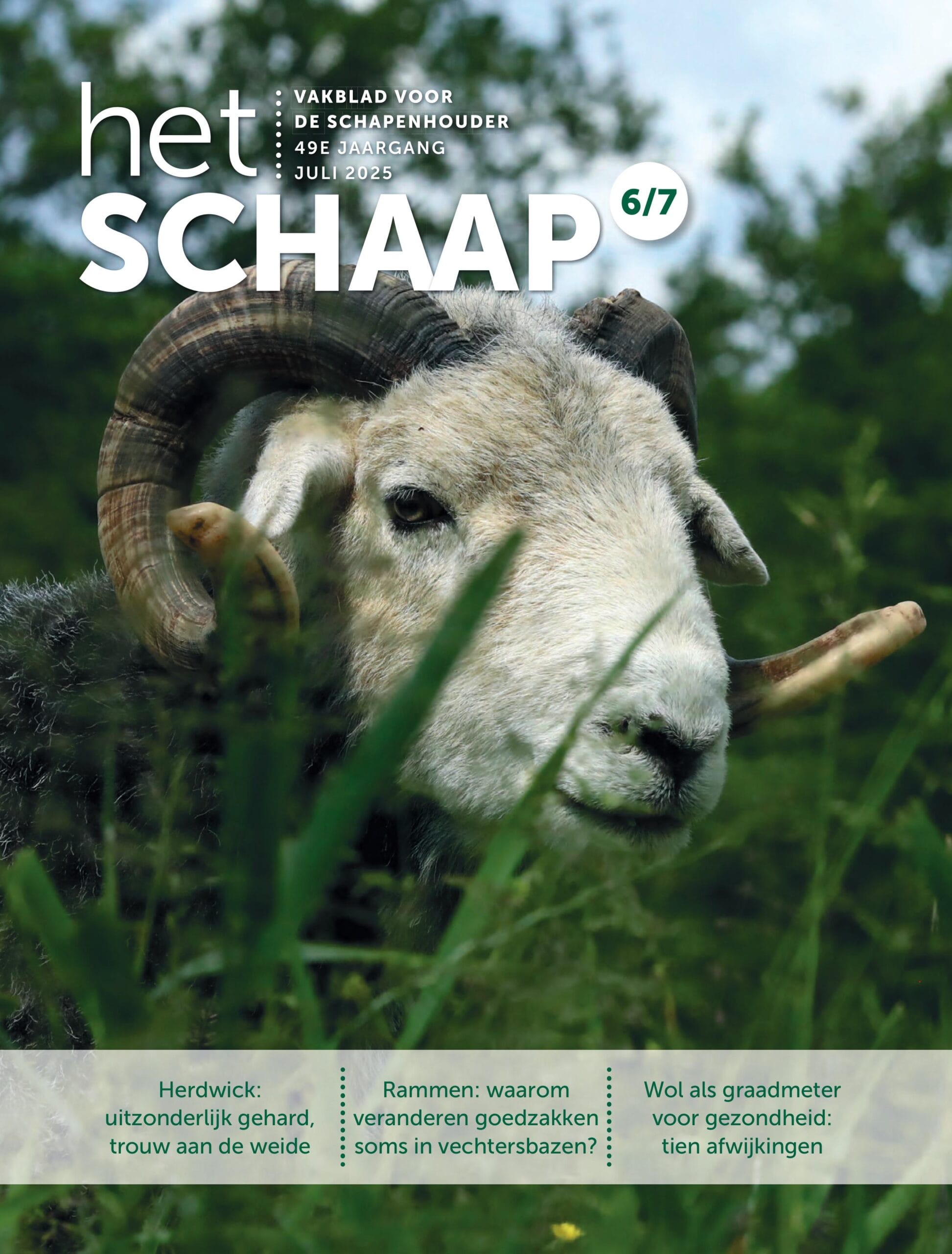 Het Schaap nr. 6/7 2025