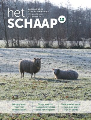 Het Schaap nr. 12 2025