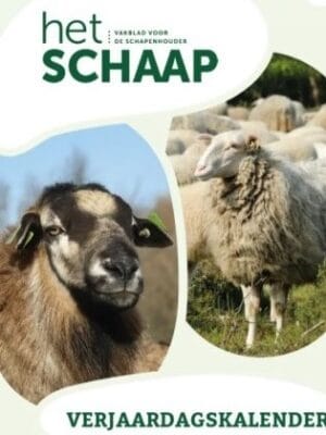 Kalender en kaarten