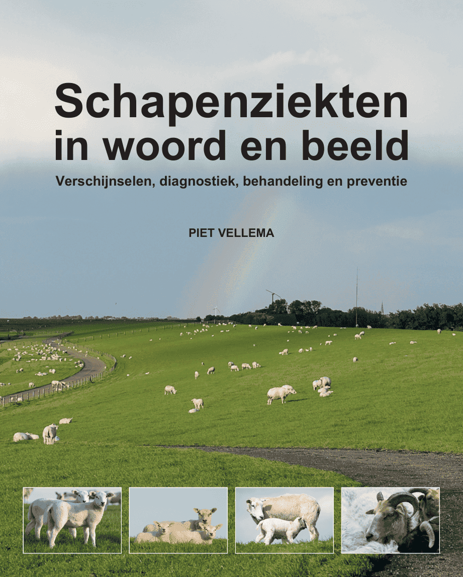 cover Schapenziekten