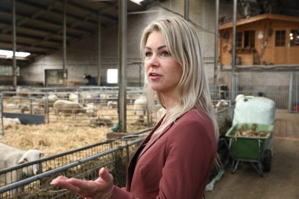 Wiersma ontvangt op de Dag van het Schaap het eerste exemplaar van Schapenziekten in woord en beeld.