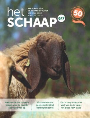 Het Schaap 6/7 2026